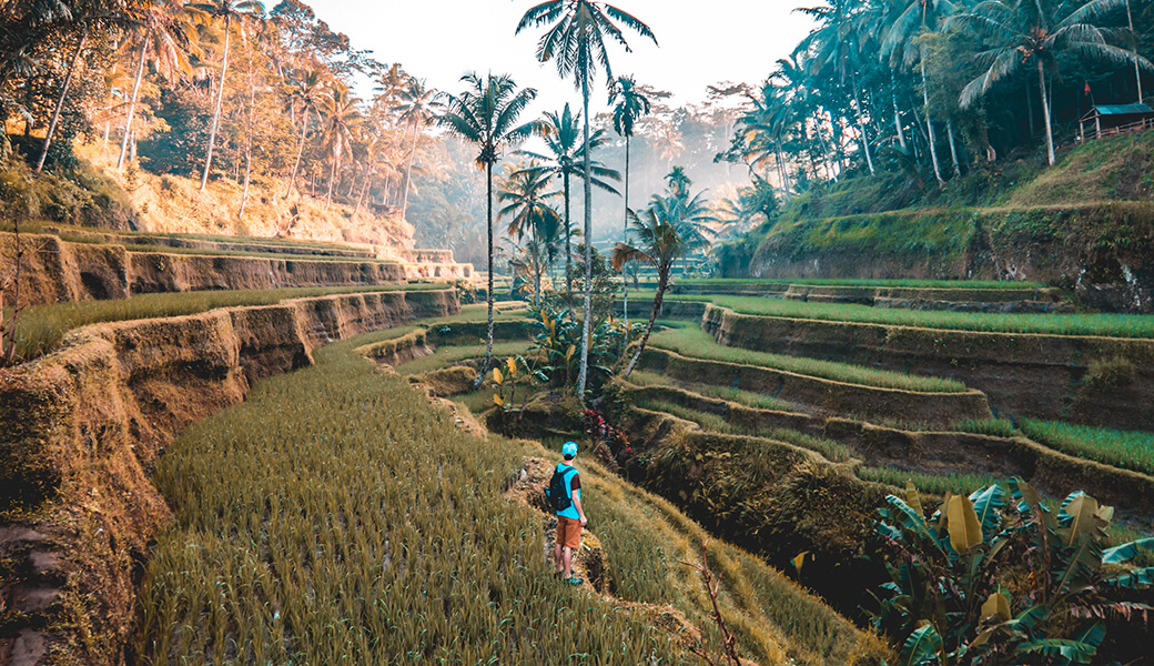 B2B Travel Portal B2B Travel Portal