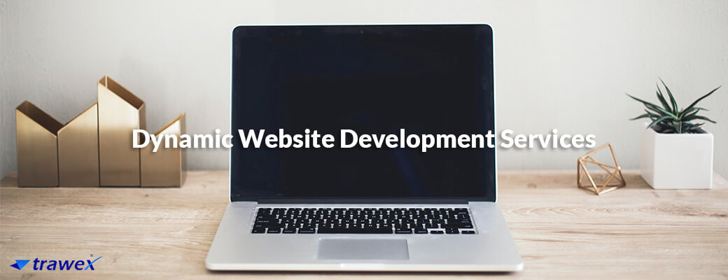 dynamic-website-development dynamic-website-development