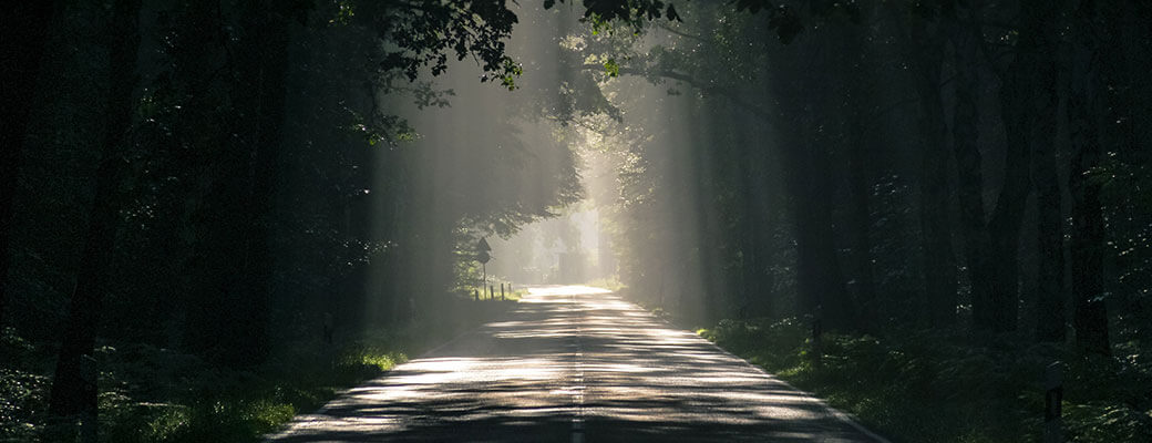 Travel API Travel API