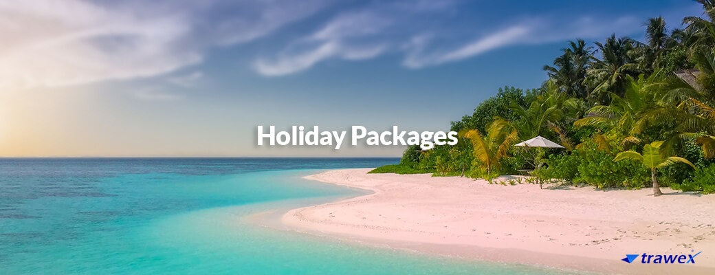 why-choose-travel-technology-solution why-choose-travel-technology-solution