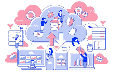 Customized Hosted Solution